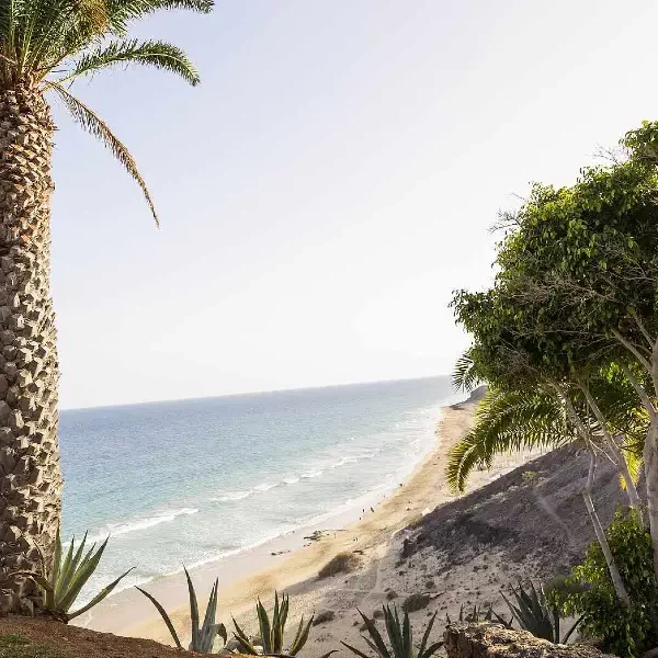 Robinson Esquinzp Playa Aussicht