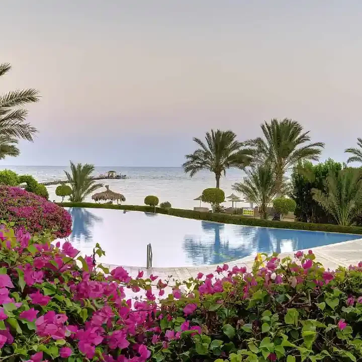 TUI MAGIC LIFE Kalawy Relaxpool