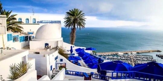 mockup 20260326 1774515797919