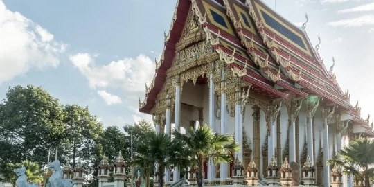 mockup 20260326 1774518990596